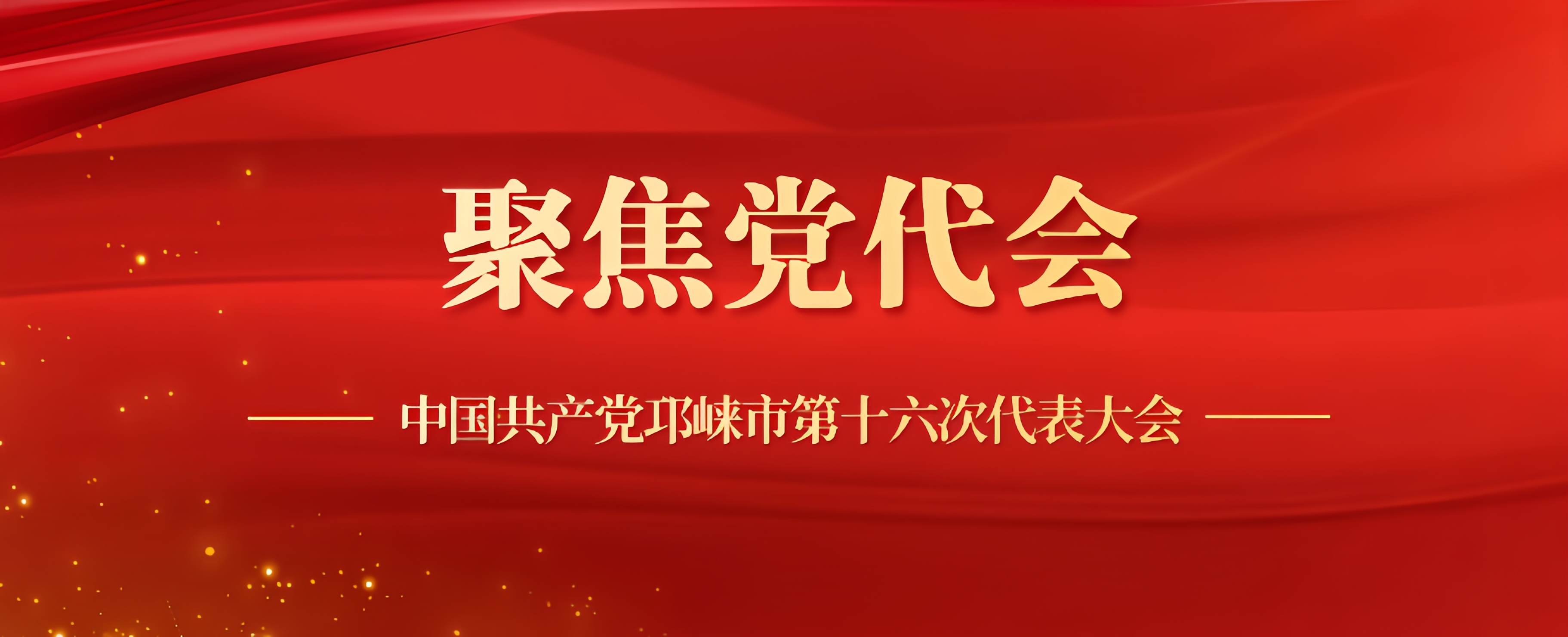 党代表今日报到