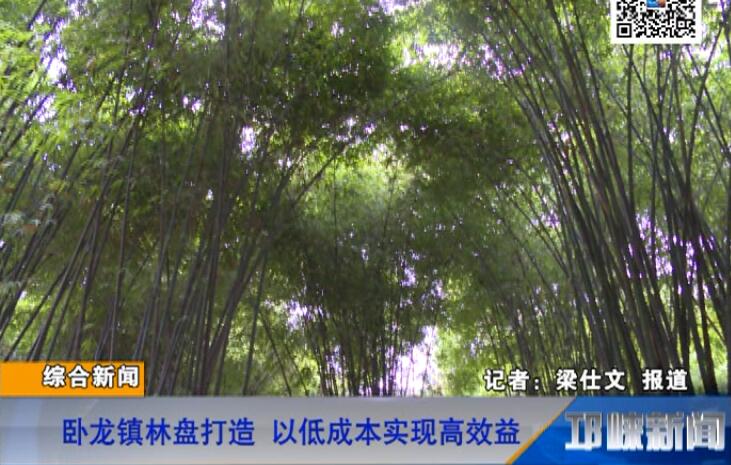 【20180705】卧龙镇林盘打造 以低成本实现高效益