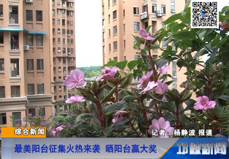 【20180806】最美阳台征集火热来袭 晒阳台赢大奖