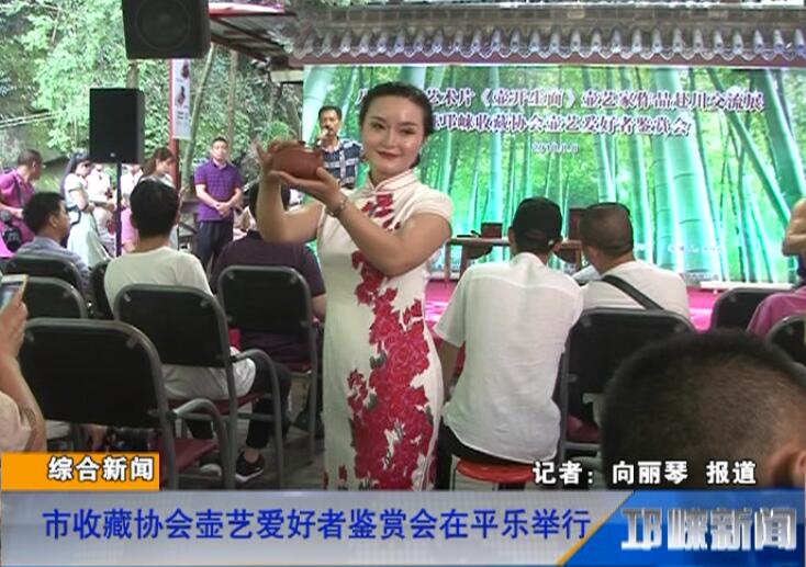 【20180809】市收藏协会壶艺爱好者鉴赏会在平乐举行