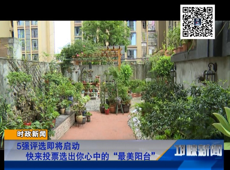 【20180822】5强评选即将启动 快来投票选出你心中的“最美阳台”