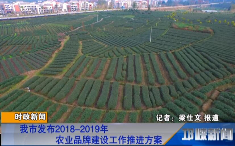 【20180827】我市发布2018-2019年农业品牌建设工作推进方案