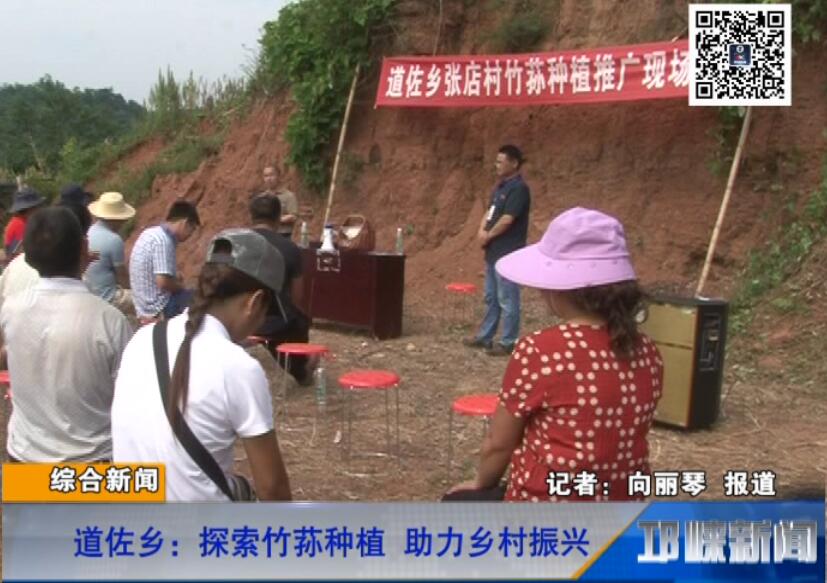 【20180830】道佐乡：探索竹荪种植 助力乡村振兴