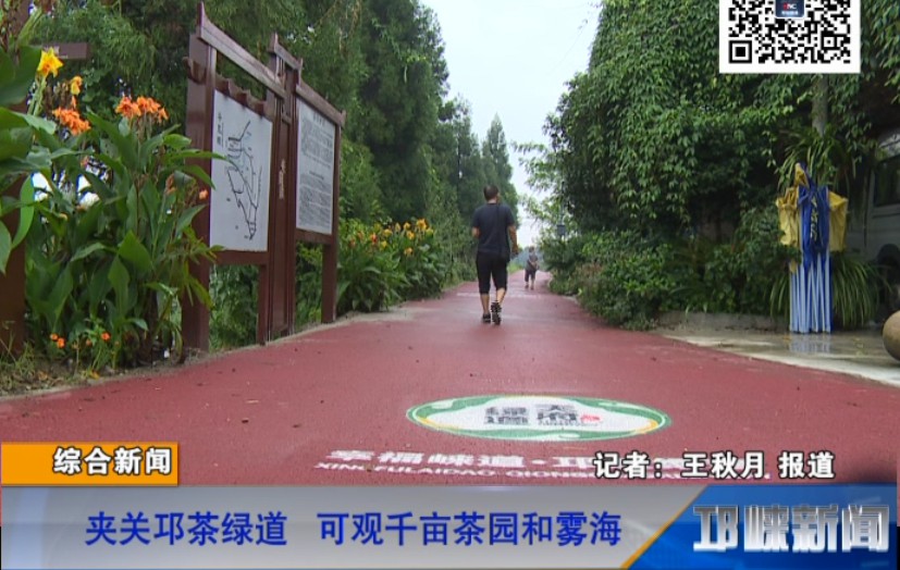 【20180905】夹关邛茶绿道 可观千亩茶园和雾海
