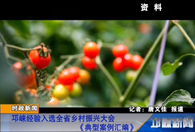 【20180911】邛崃经验入选全省乡村振兴大会《典型案例汇编》