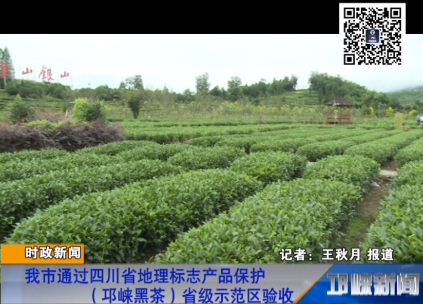 【20180928】我市通过四川省地理标志产品保护（邛崃黑茶）省级示范区验收