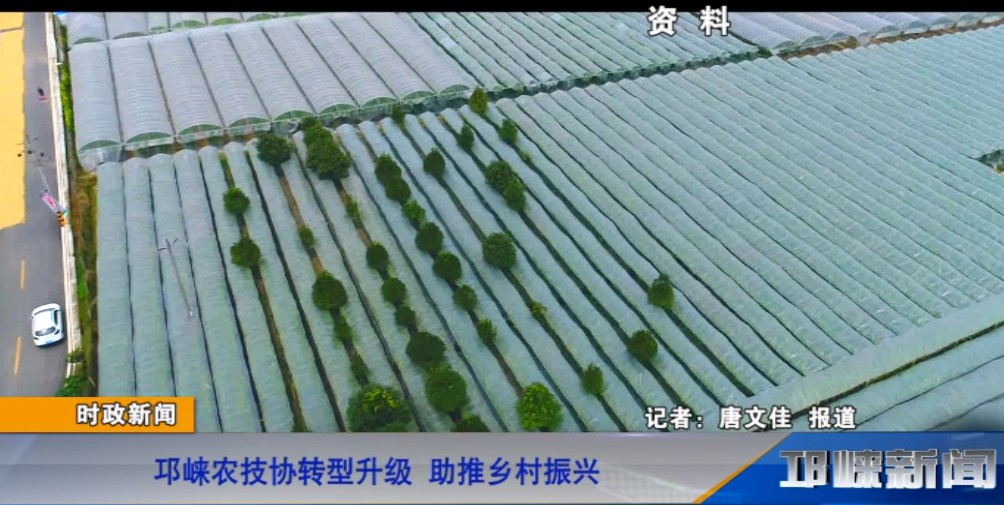 【20181030】邛崃农技协转型升级 助推乡村振兴