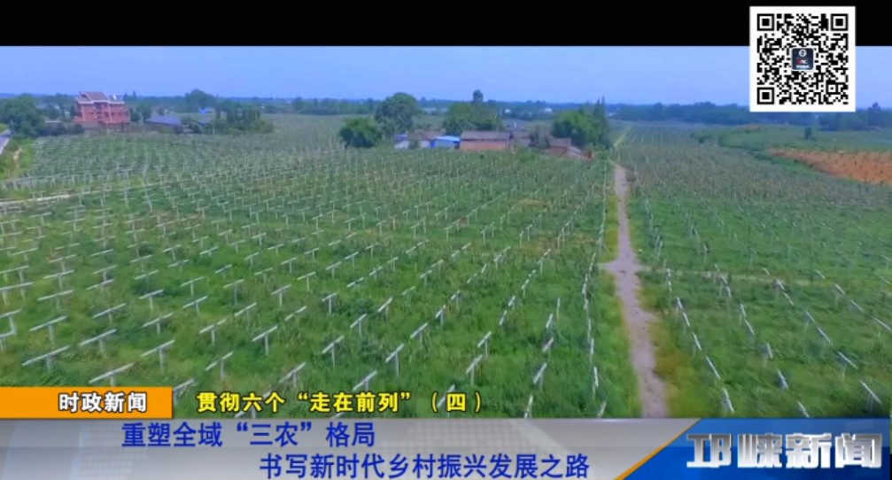 【20181130】贯彻六个“走在前列”（四）：重塑全域“三农”格局 书写新时代