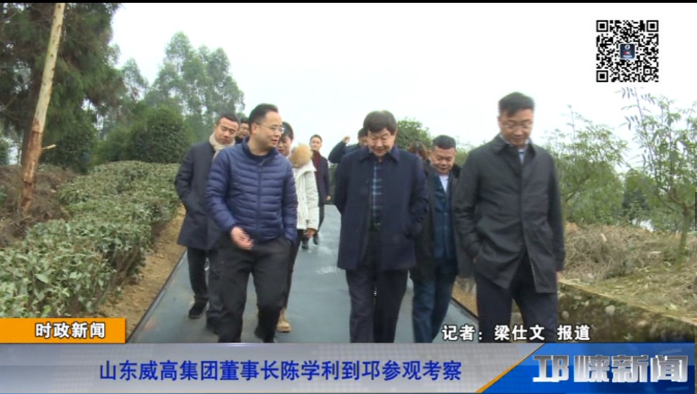 【20181224】山东威高集团董事长陈学利到邛参观考察
