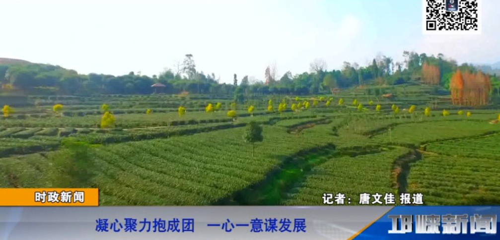 【20190111】凝心聚力抱成团 一心一意谋发展.