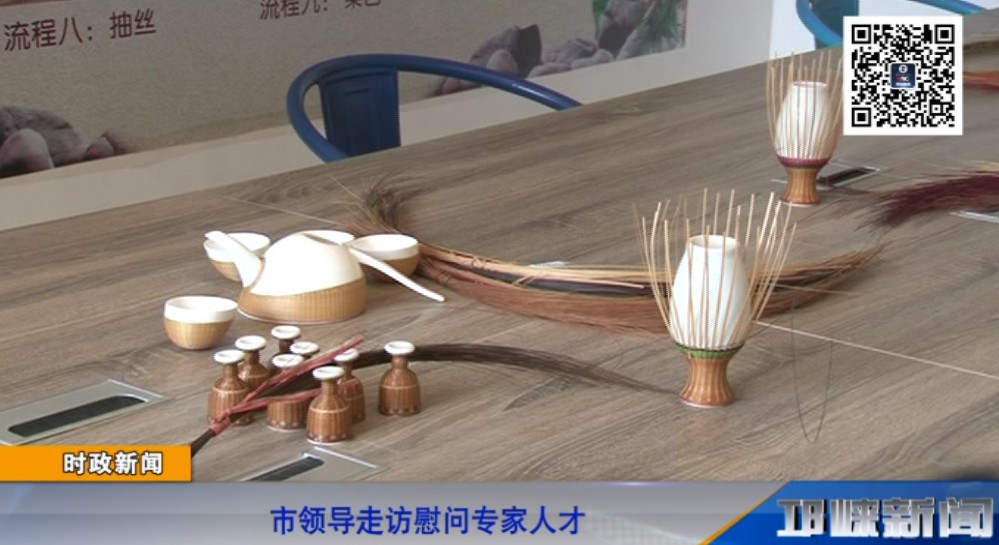 【20190117】市领导走访慰问专家人才.
