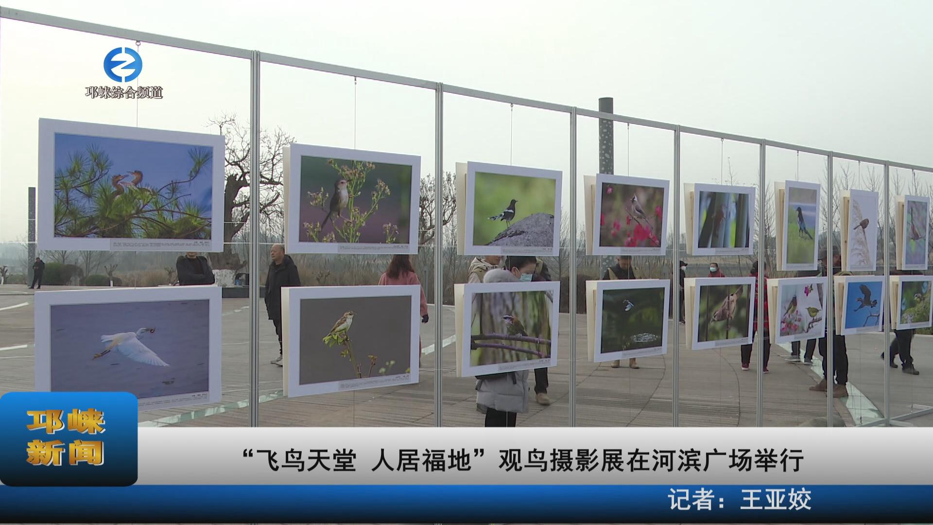 【20230128】“飞鸟天堂 人居福地”观鸟摄影展在河滨广场举行