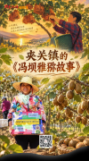 把冯坝村唱给你