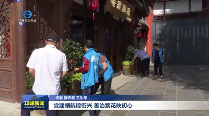 【20250507】党建领航粽街兴 善治繁花映初心