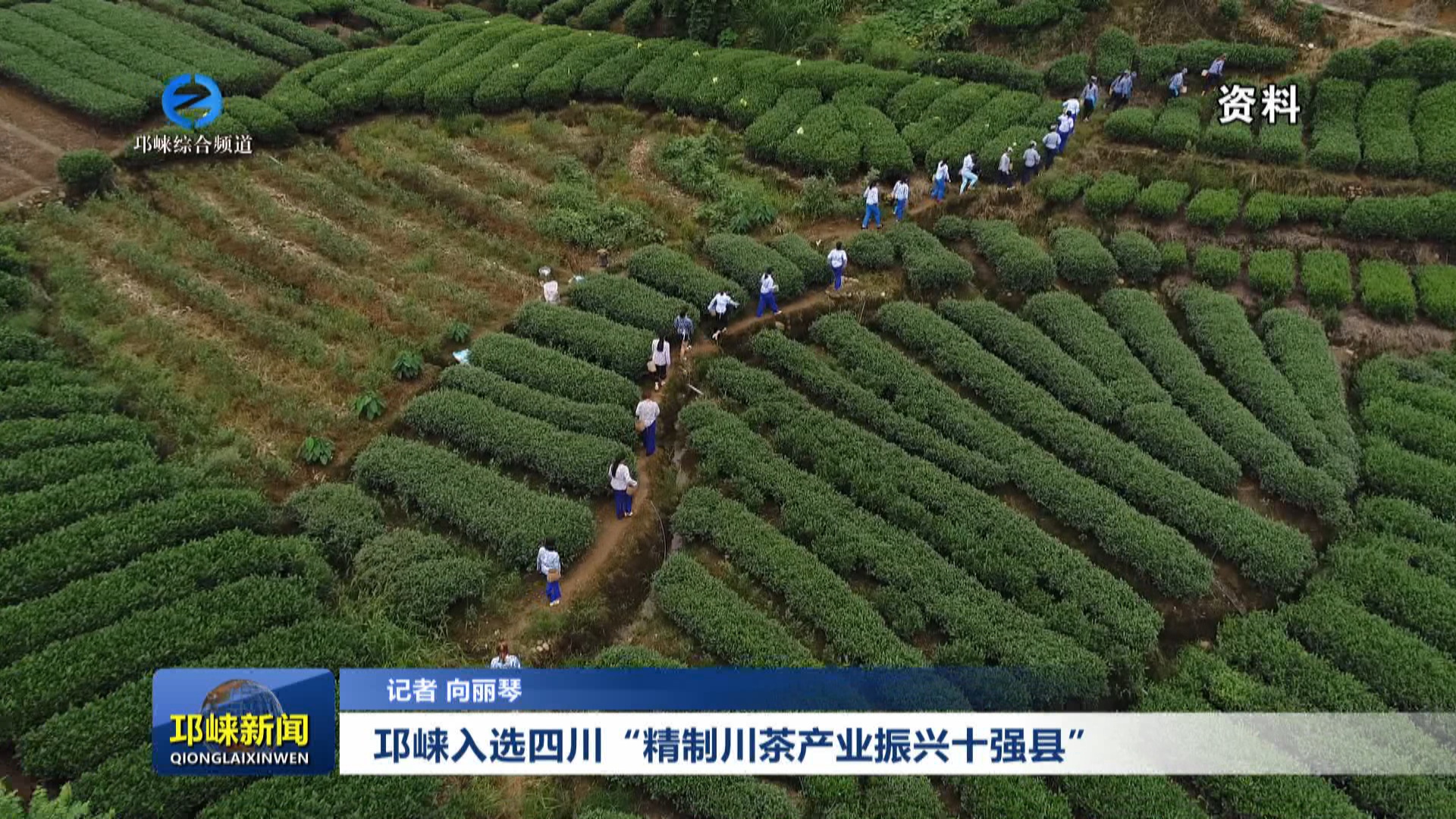 【20250513】邛崃入选四川“精制川茶产业振兴十强县”