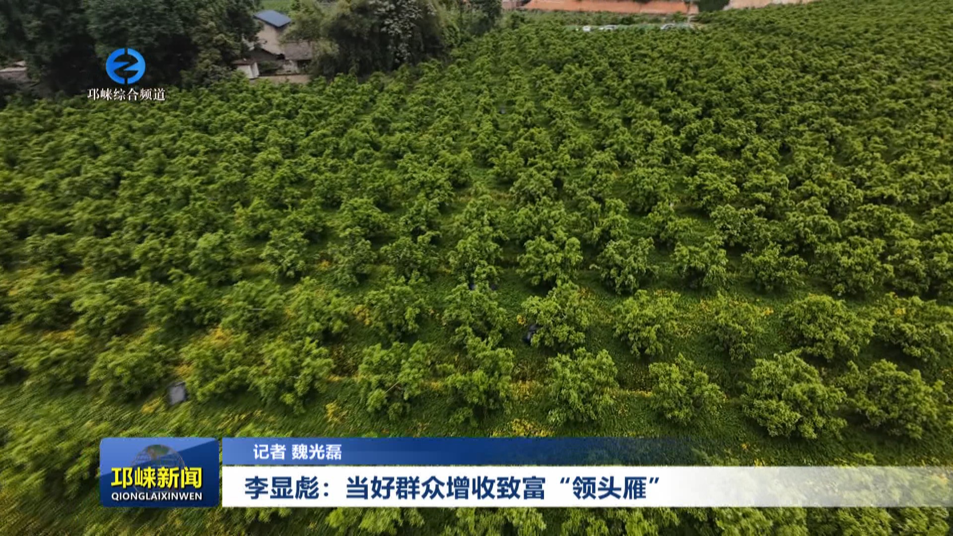【20250515】李显彪：当好群众增收致富“领头雁”