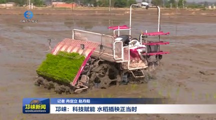 【20250516】邛崃：科技赋能 水稻插秧正当时