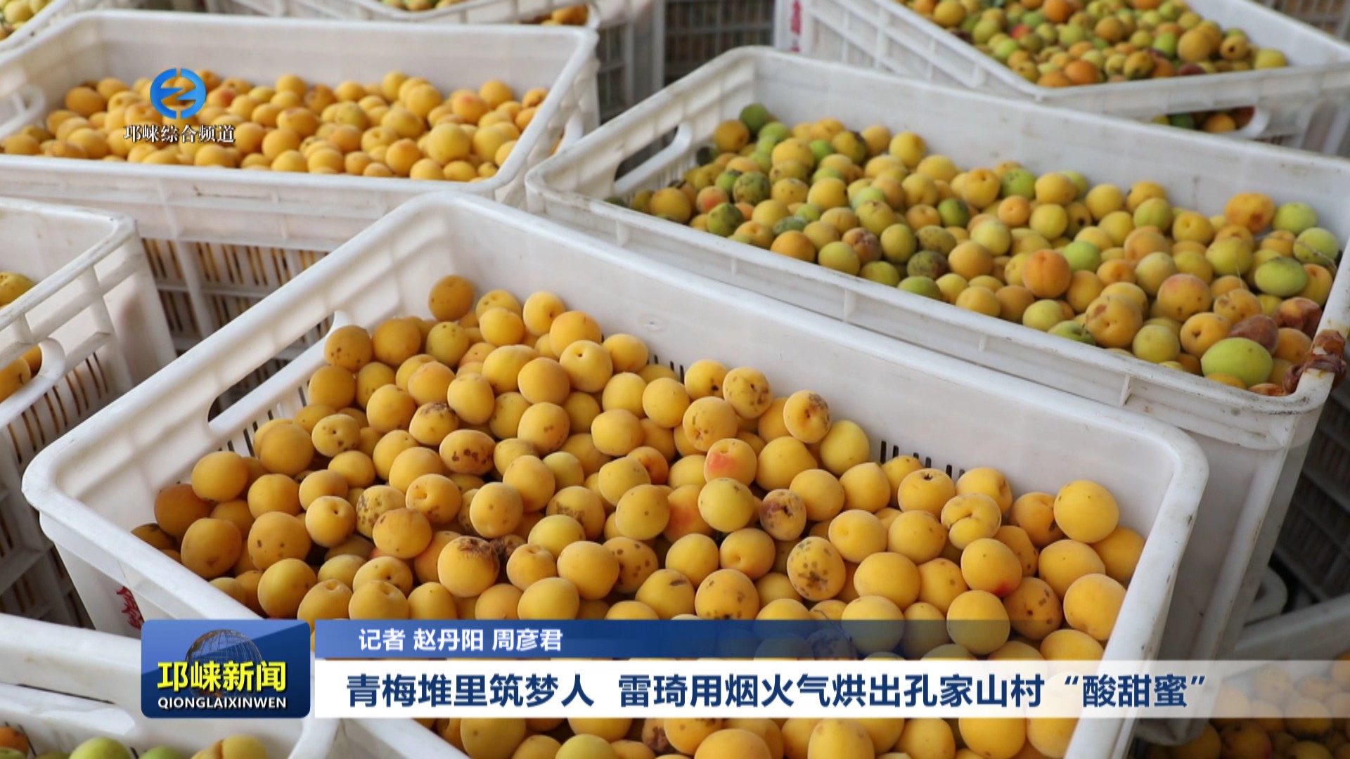 【20250623】青梅堆里筑梦人 雷琦用烟火气烘出孔家山村“酸甜蜜”