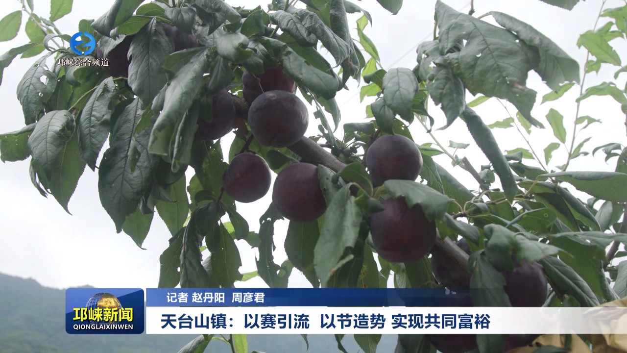 【20250708】天台山镇：以赛引流 以节造势 实现共同富裕