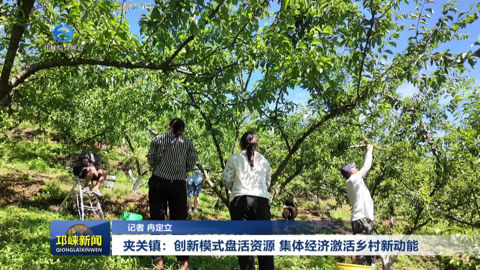 【20250715】夹关镇：创新模式盘活资源 集体经济激活乡村新动能