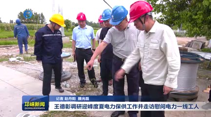 【20250805】王德彰调研迎峰度夏电力保供工作并走访慰问电力一线工人