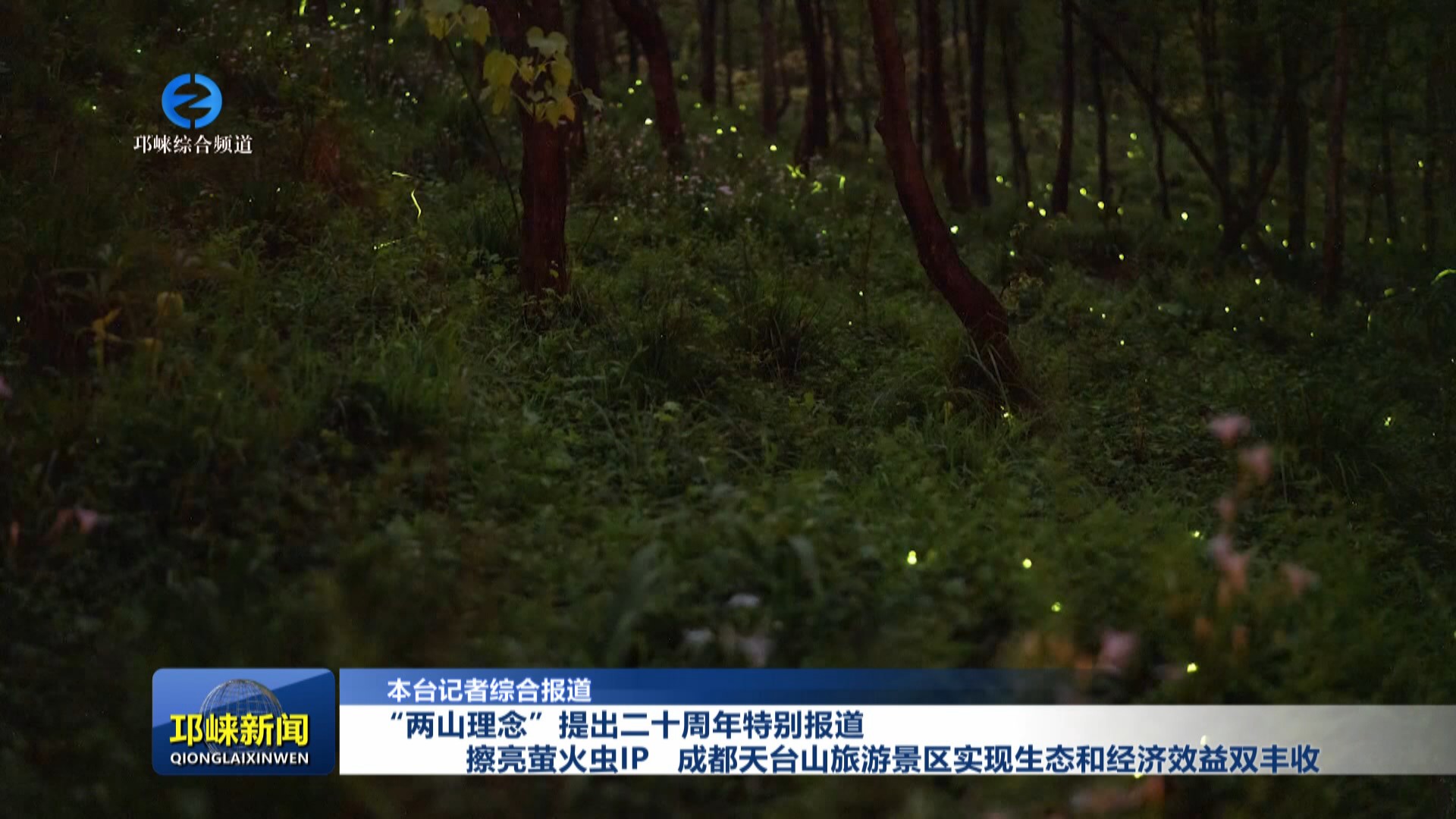 【20250815】“两山理念”提出二十周年特别报道 擦亮萤火虫IP 成都天台山旅游