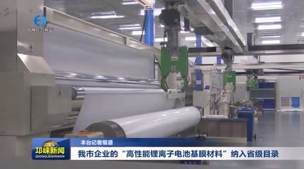 【20250818】我市企业的“高性能锂离子电池基膜材料”纳入省级目录