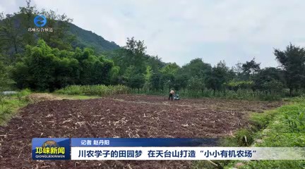 【20250821】川农学子的田园梦 在天台山打造“小小有机农场”